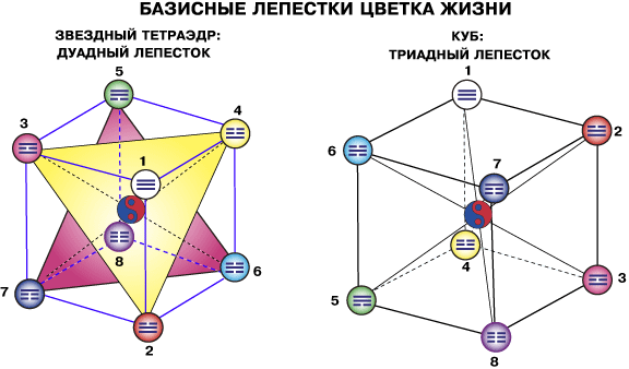 : mhtml:file://C:Users%20%20Desktop%20%20%202012..7%20-3.mht!http://www.milogiya2007.ru/41/tetraedr2.gif