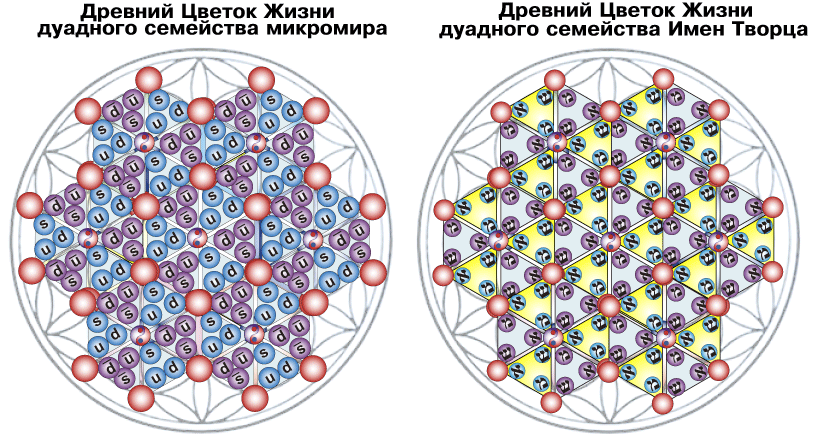 : mhtml:file://C:Users%20%20Desktop%20%20%202012..7%202.mht!http://www.milogiya2007.ru/41/duadimya3.gif