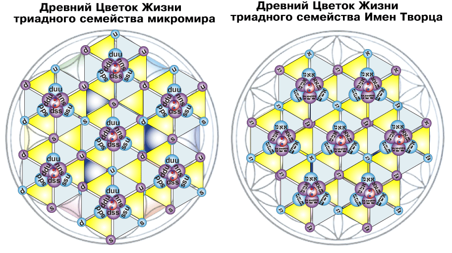 : mhtml:file://C:Users%20%20Desktop%20%20%202012..7%202.mht!http://www.milogiya2007.ru/41/duadimya4.gif